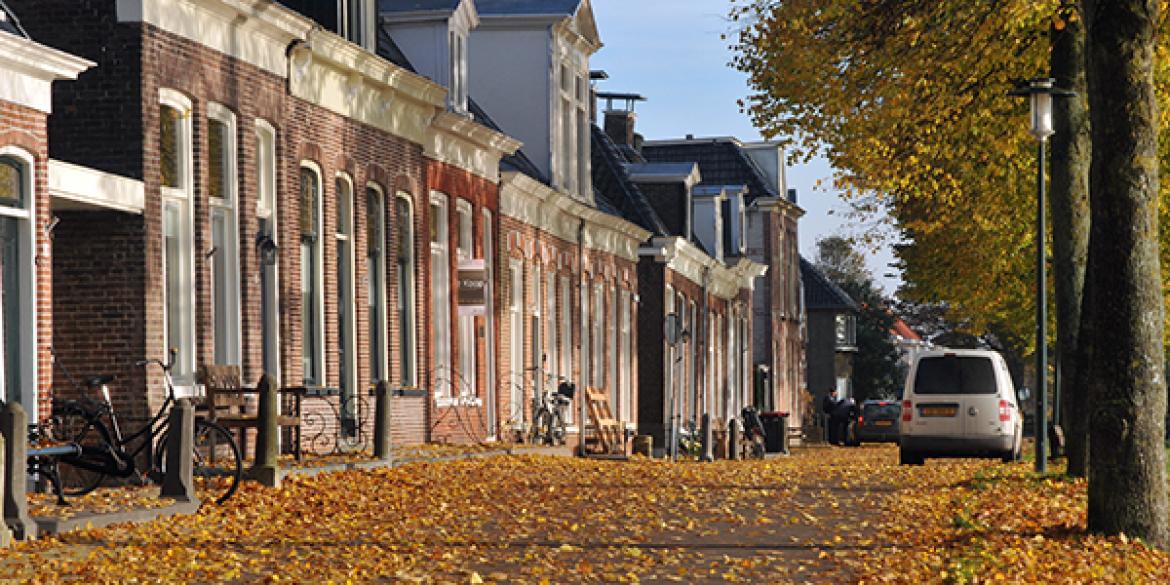 Herfst geeft gouden kleur aan Dokkum en omgeving