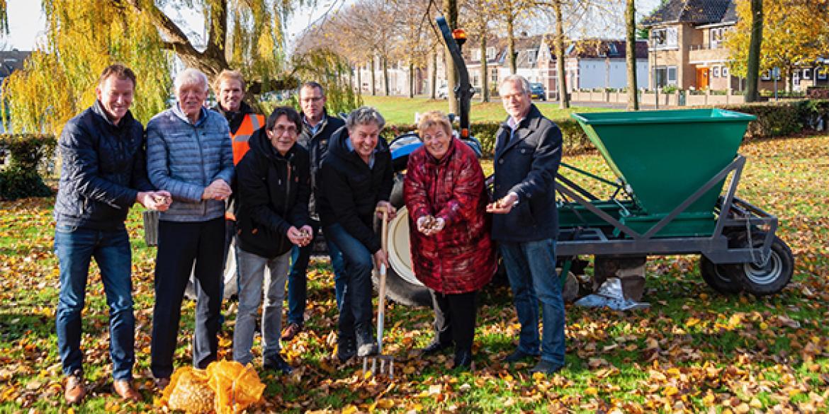 Vervolg voor Dokkum Tulpenstad