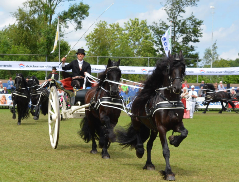 De stichting van Nationaal Concours Hippique Dokkum e.o.