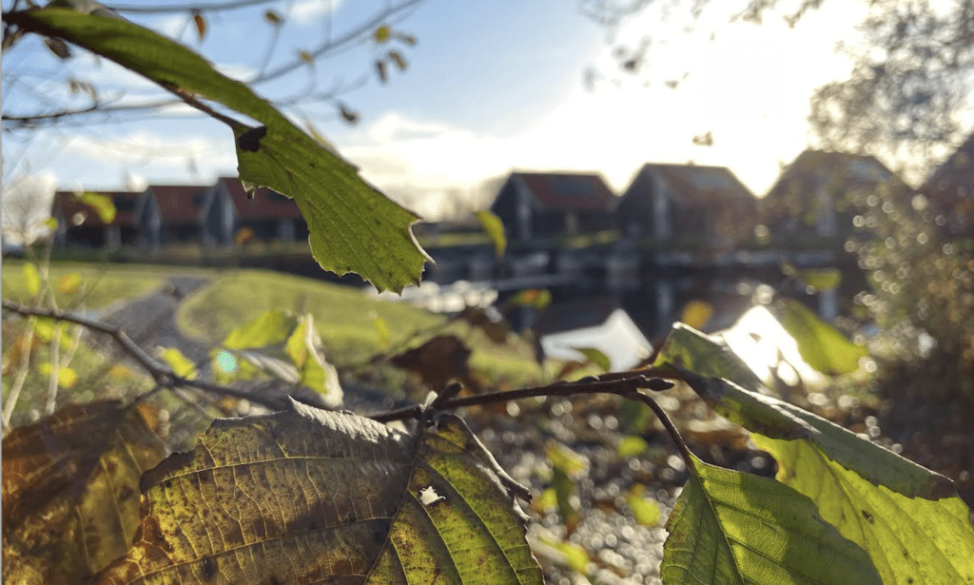 Herfstactiviteiten: Plukdagen en Herfstfair