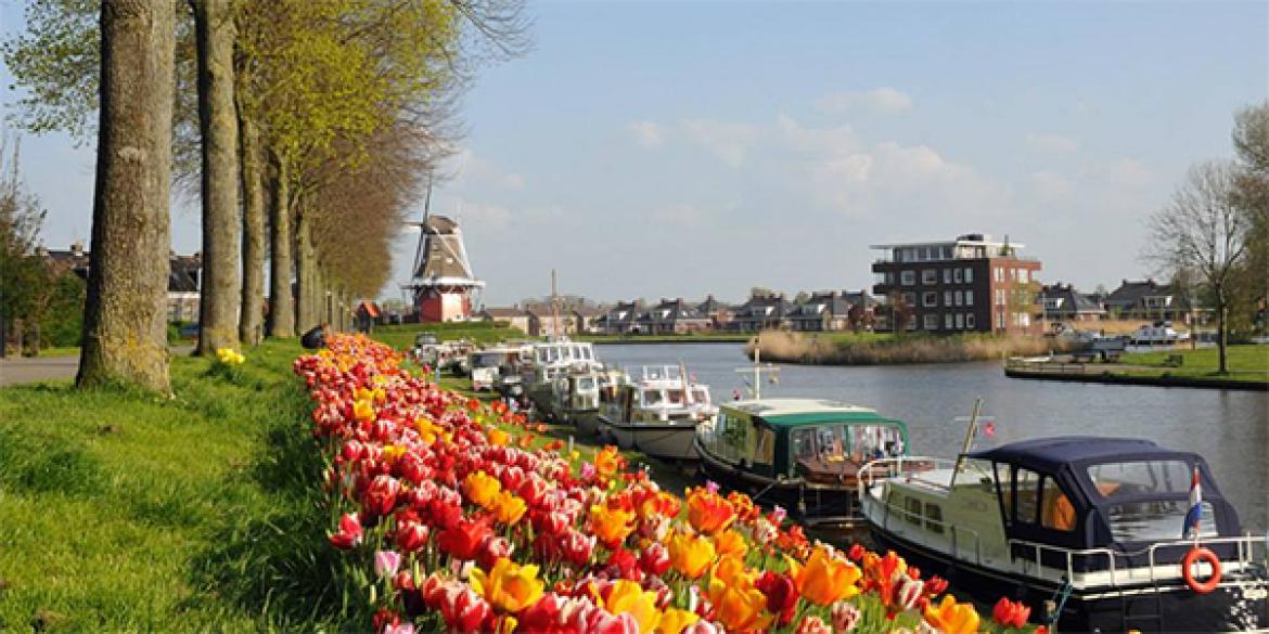 In 2016 weer duizenden tulpen te zien in Dokkum