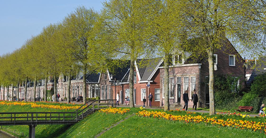 Tulpenroute in Dokkum trekt veel bekijks