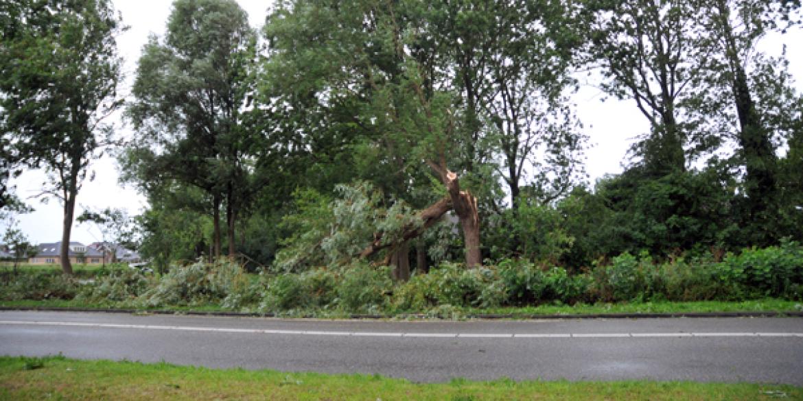 Zomerstorm levert Dokkum geen grote problemen op