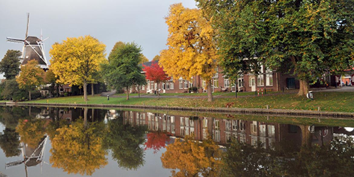 Herfstkleuren in Dokkum worden steeds mooier