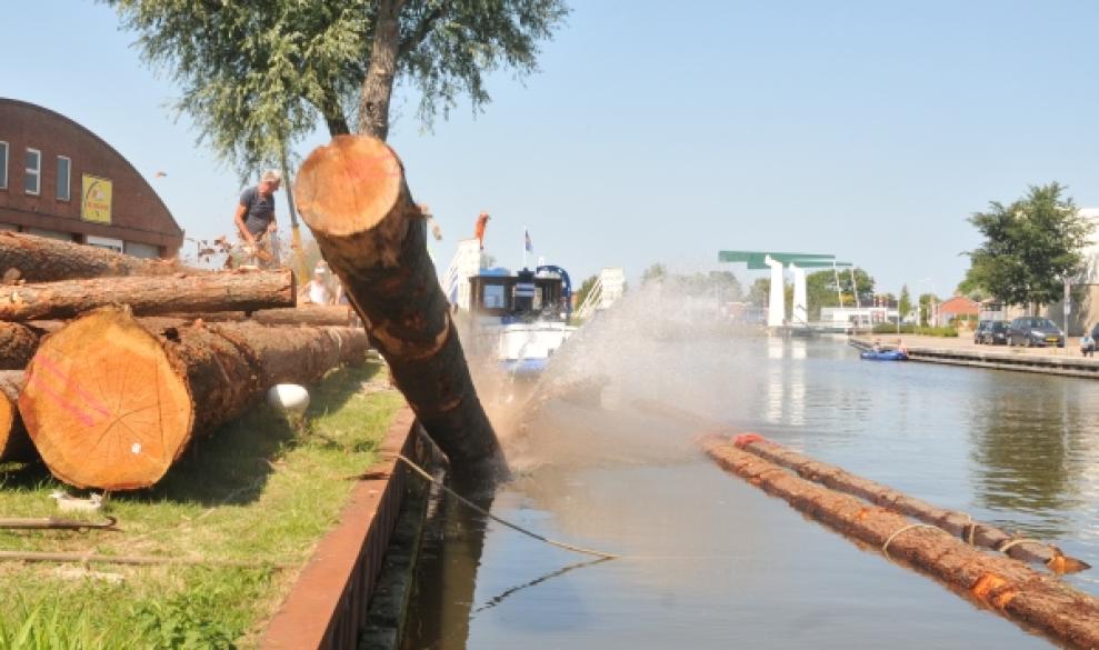 Boomstammen voor Hout-Vaert in Dokkum te water