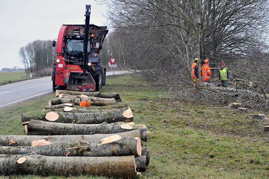 Bomen bij Dokkum gerooid om aanleg Centrale As