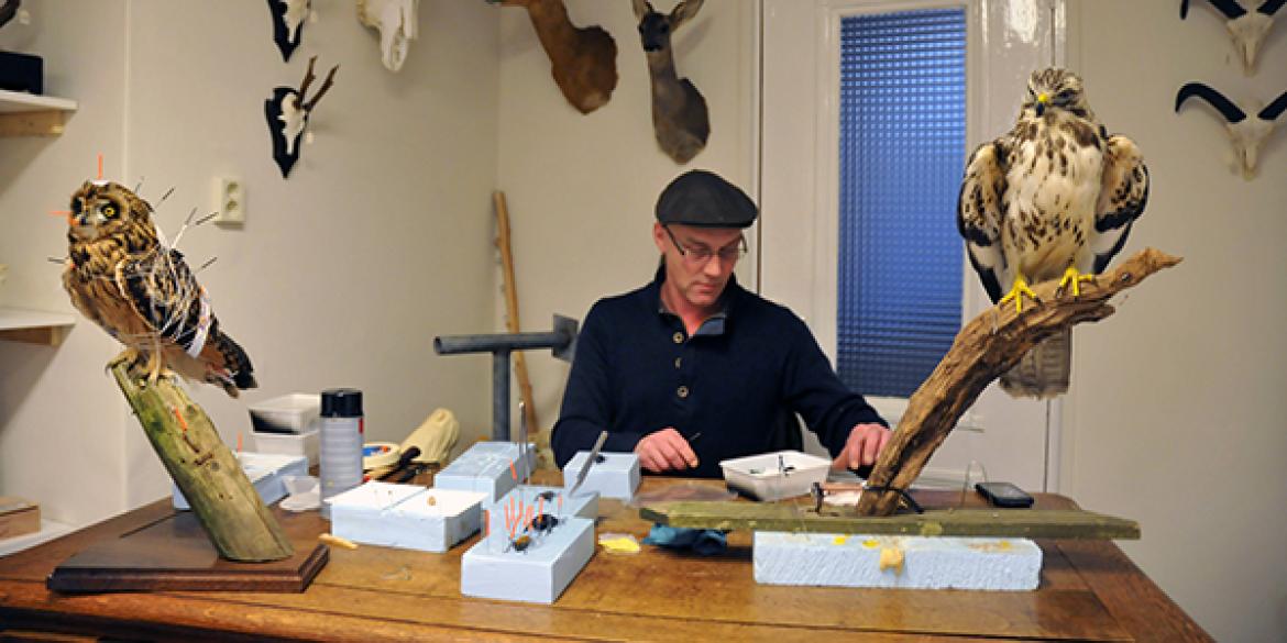 Preparateur Ronnie Jonker vestigt zich ook in Dokkum