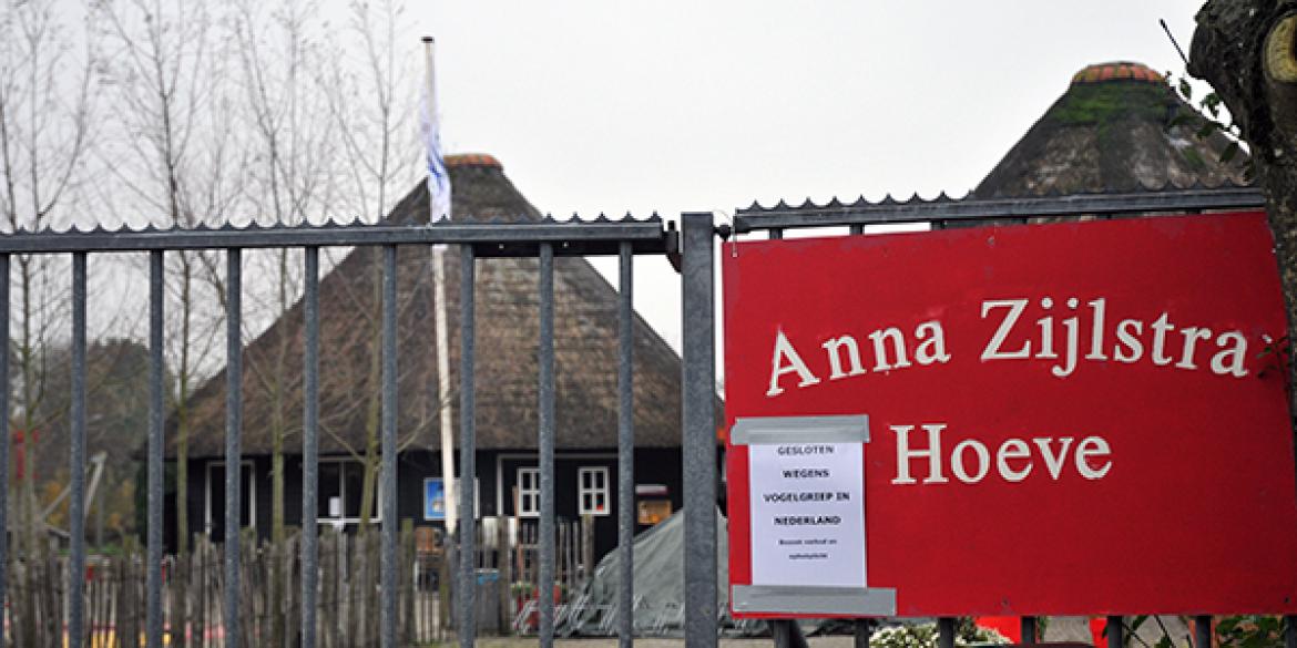 Dokkumer kinderboerderij tijdelijk dicht ivm vogelgriep