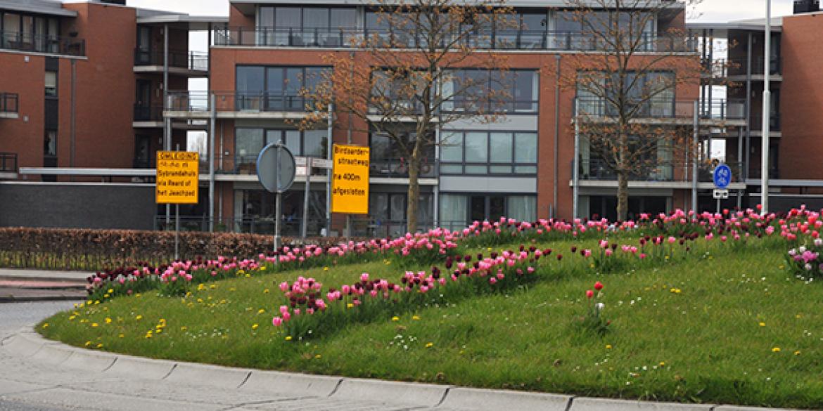 Birdaarderstraatweg gestremd tot en met 13 mei