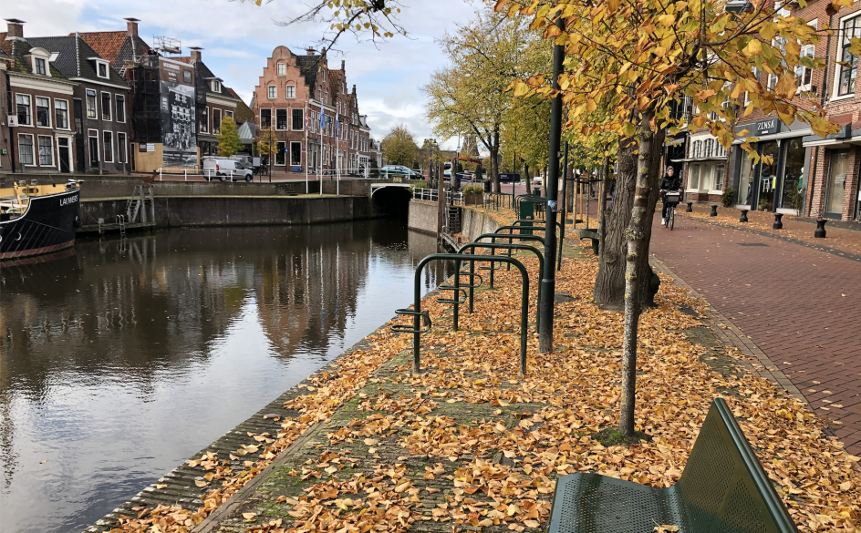 Dokkum in herfsttinten