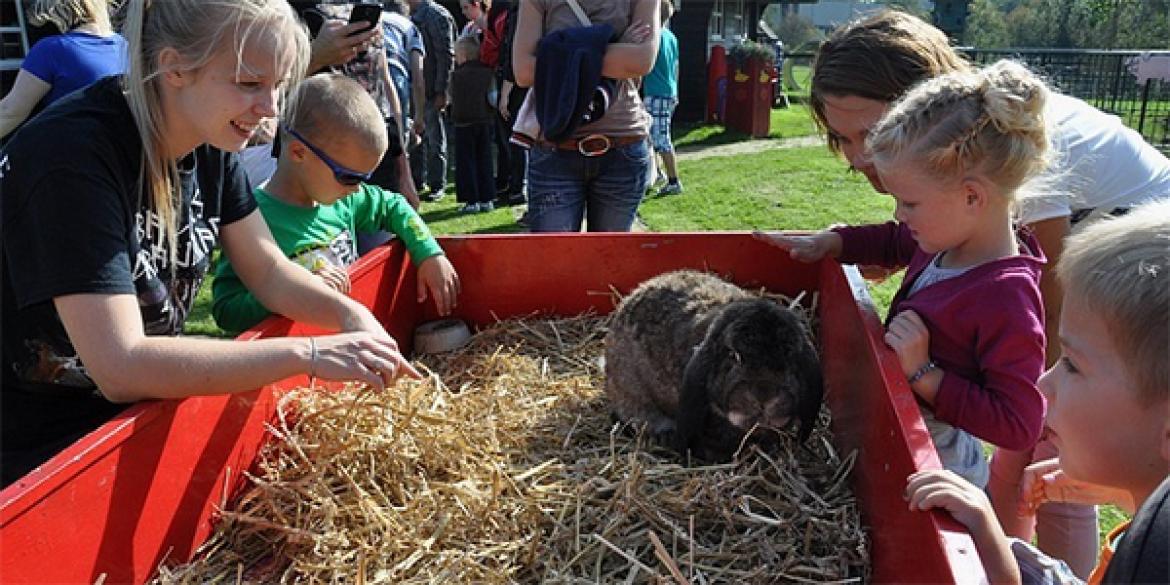 Drukke dierendag bij kinderboerderij en Dier onder Dak