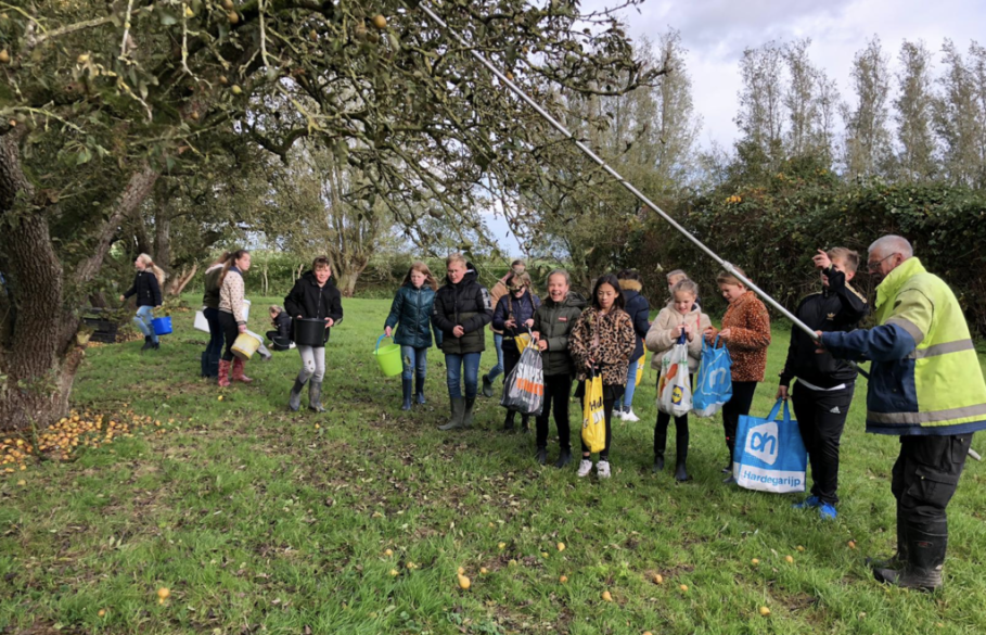 Groep 8 van CBS Eben Haëzer plukt peren voor Voedselbank