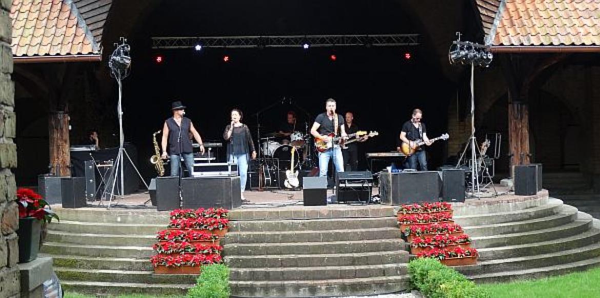 Bruce Springsteen tributeband