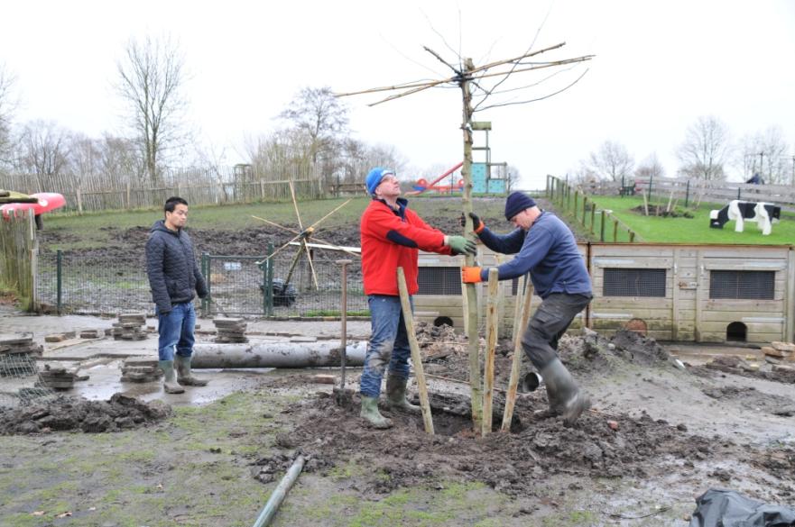 Bomen geplant bij kinderboerderij