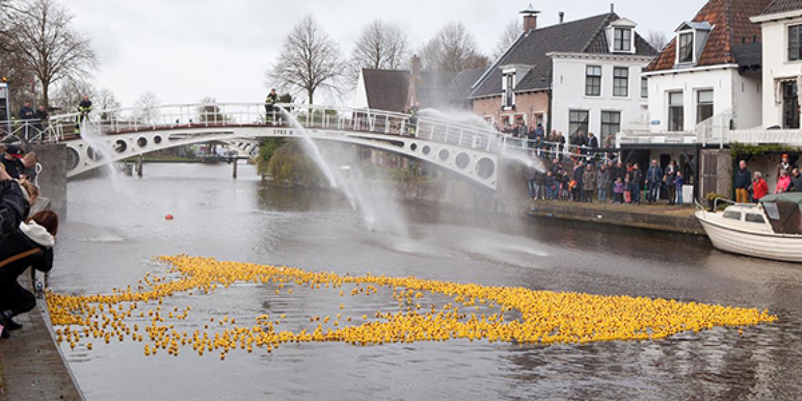 Badeendjesrace grachten Dokkum groot succes