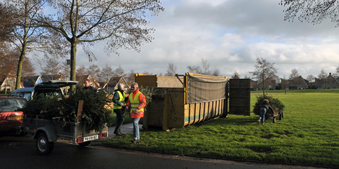 Eerste kerstboominzameling in Dokkum een succes