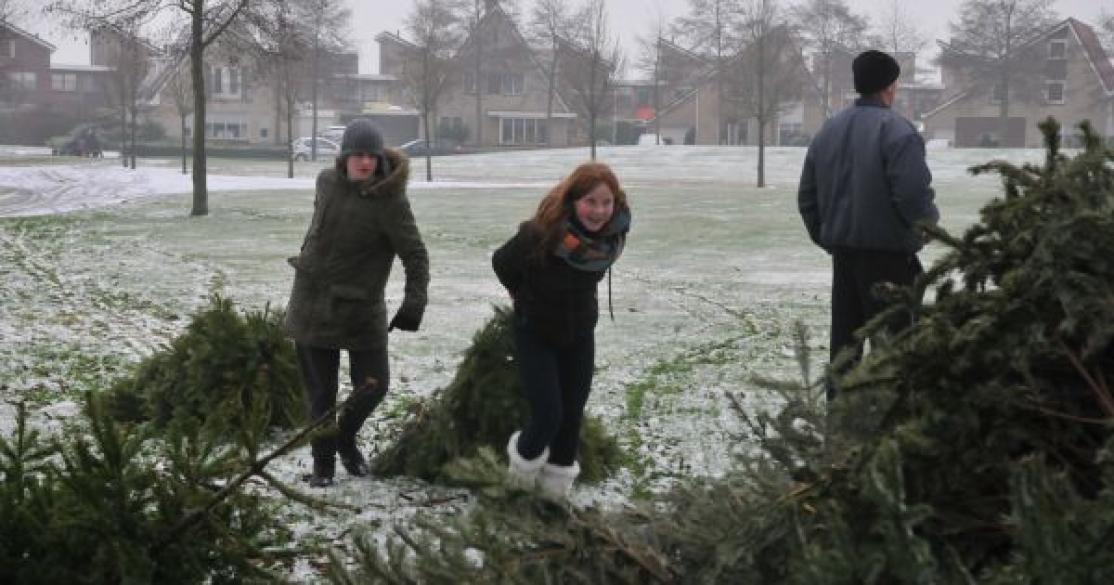 Kerstbomen weer volop ingeleverd of opgehaald