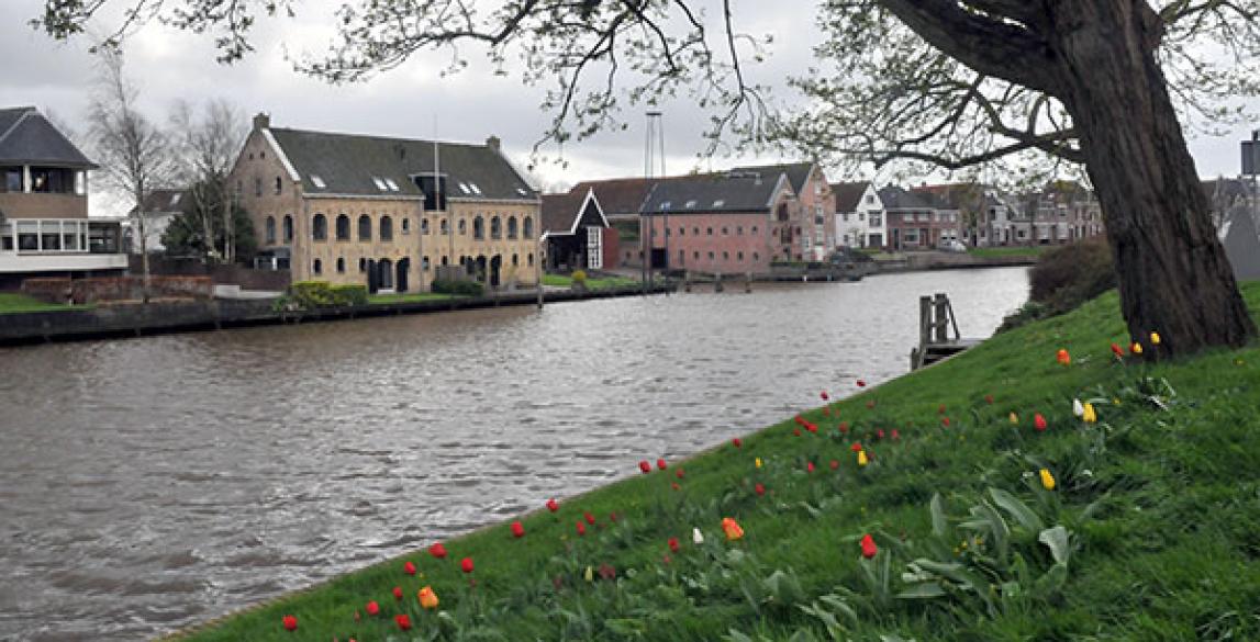 Dokkum is weer even tulpenstad