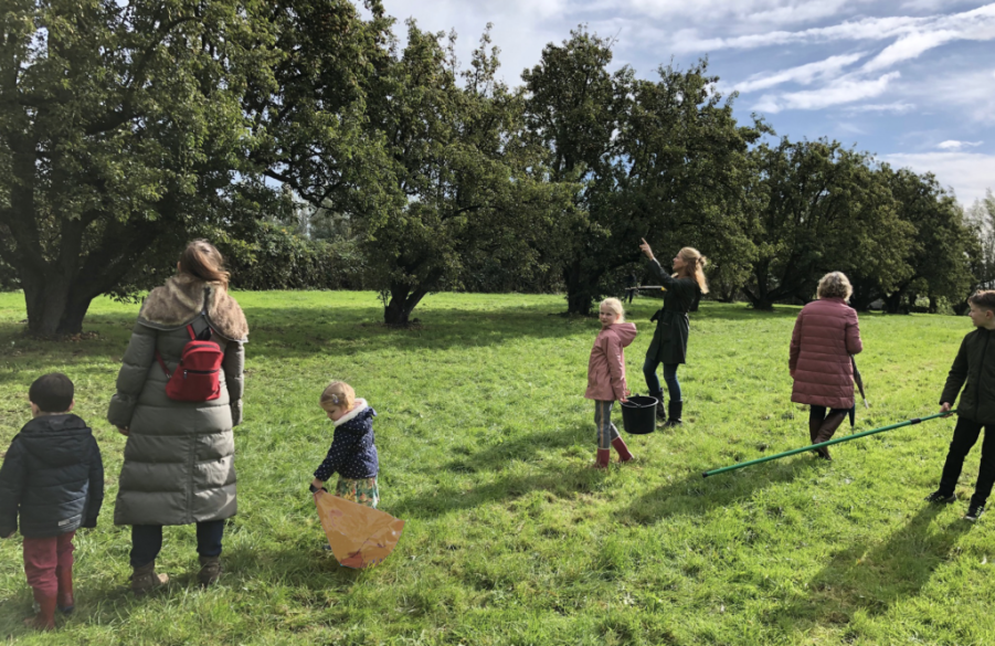 Peren Plukdag op 't landje van Dokkum