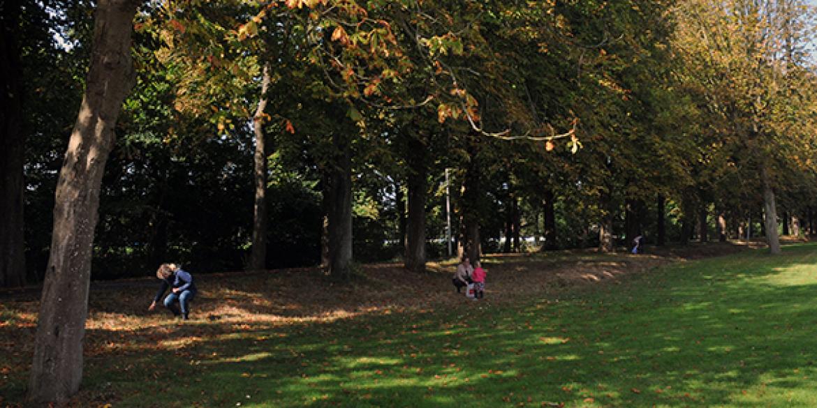 Herfst in Dokkum officiëel begonnen