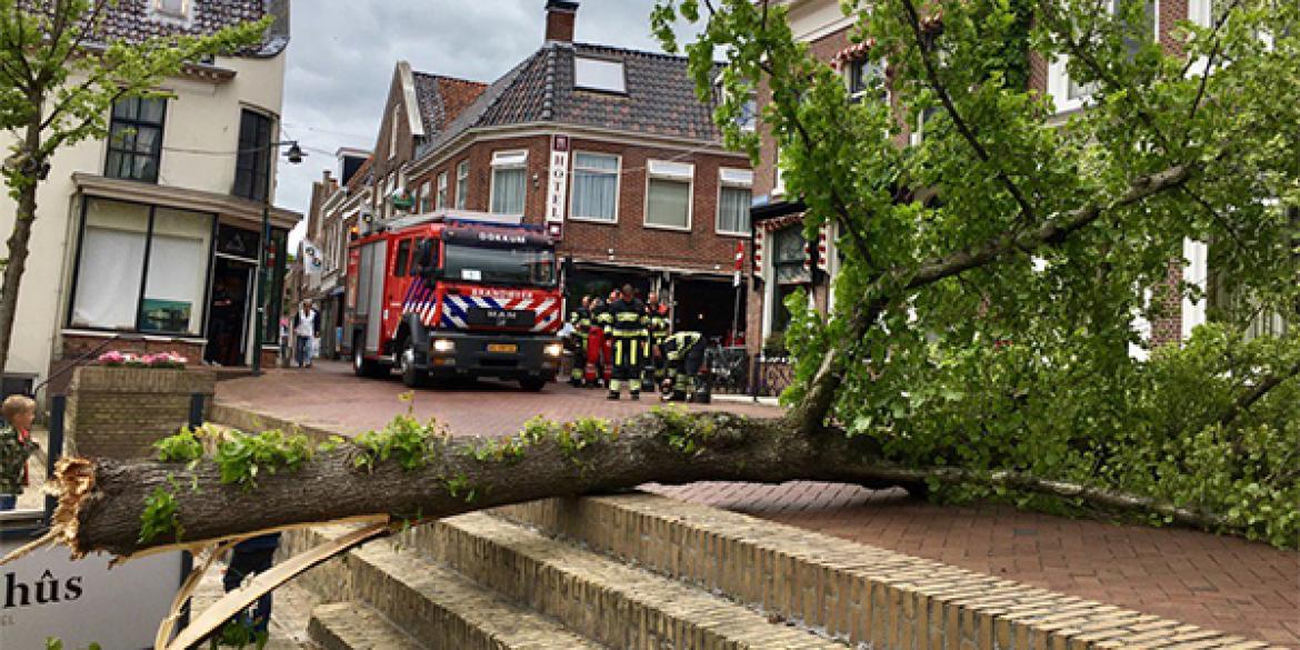 Geen stormschade na omgevallen boom