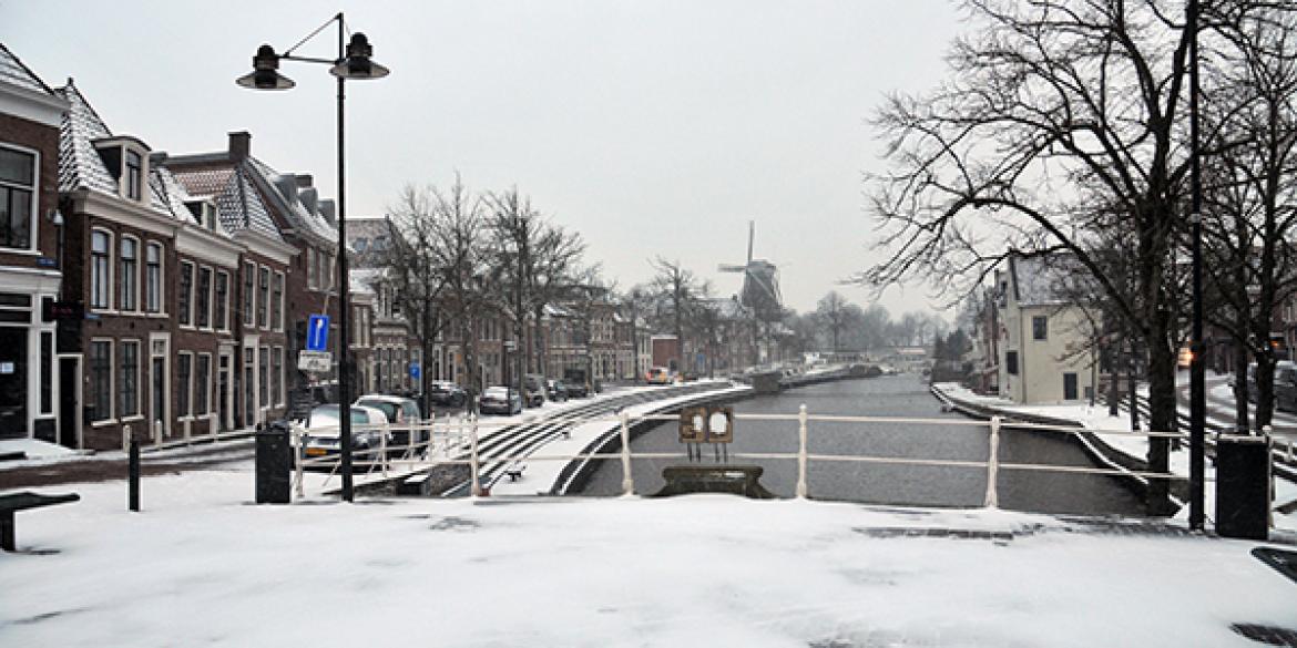 Dokkum ontwaakt onder witte sneeuwdeken