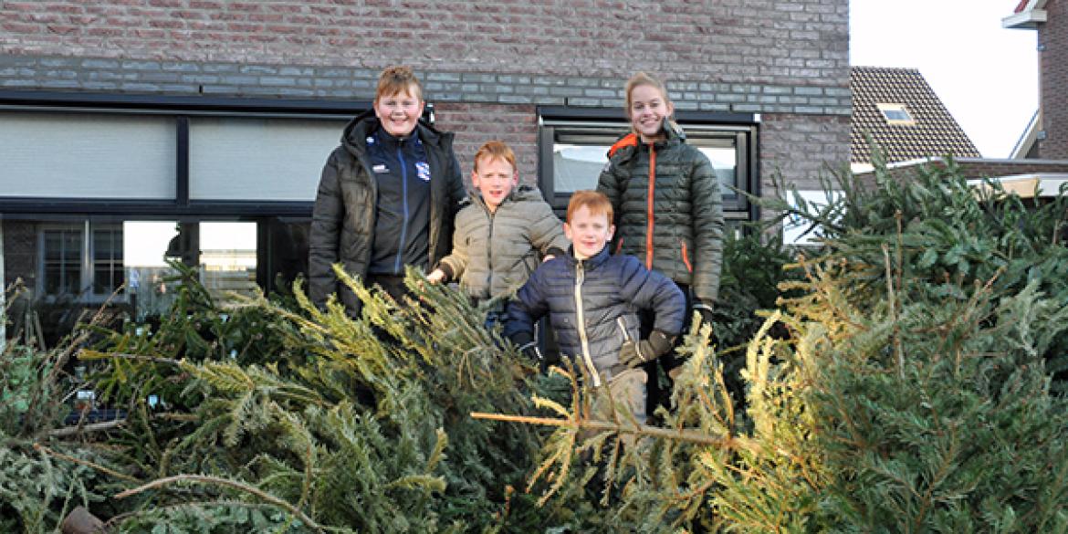 Wielinga's hebben al tientallen kerstbomen ingezameld