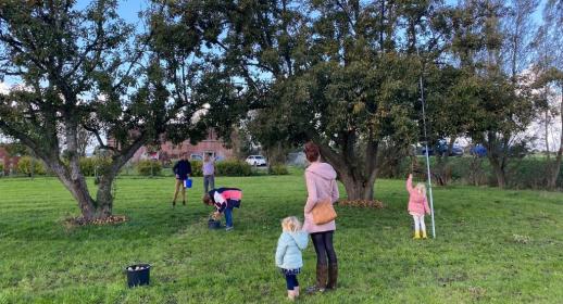 Gezellige Peren Plukdag op 't Landje van Dokkum