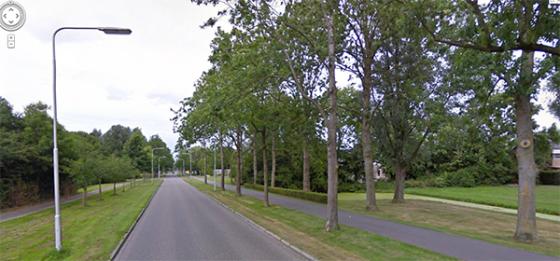 65 bomen aan Dongeradyk gekapt