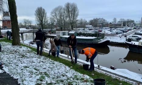 Ruim zeventienduizend bloembollen geplant op Westerbolwerk in Dokkum