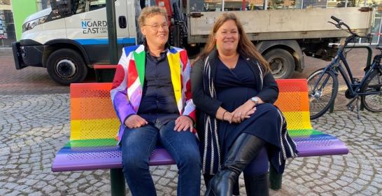 Onthulling regenboogbankjes op Grote Breedstraat